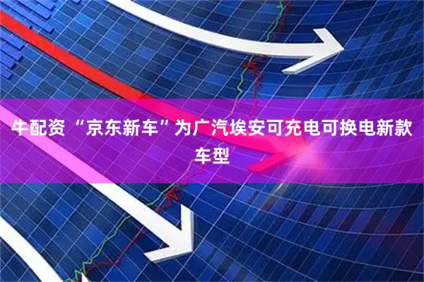 牛配资 “京东新车”为广汽埃安可充电可换电新款车型