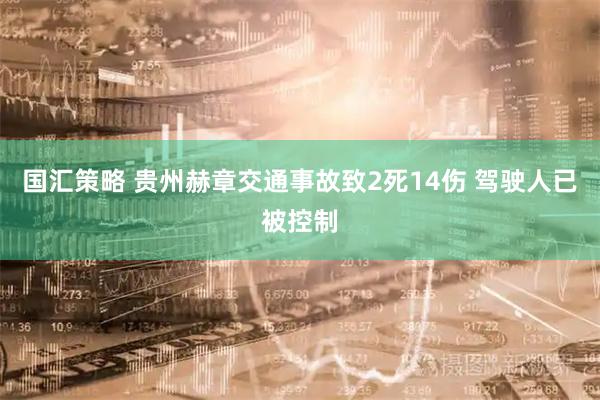 国汇策略 贵州赫章交通事故致2死14伤 驾驶人已被控制