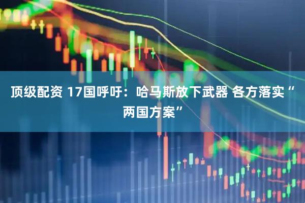 顶级配资 17国呼吁：哈马斯放下武器 各方落实“两国方案”